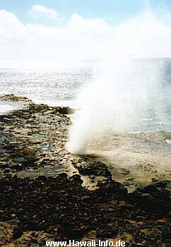 Blowhole